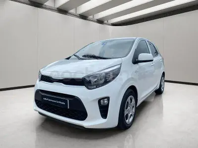 Usado Kia Picanto 67 CV (49 kW) 2024 Blanco Utilitario