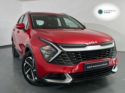 Usado Kia Sportage 149 CV (109 kW) 2024 Rojo SUV
