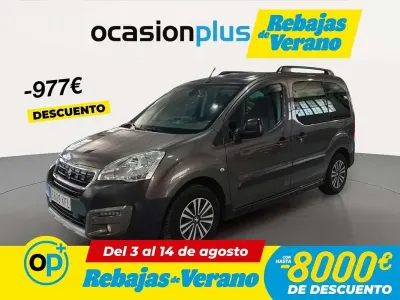Usado Peugeot TePee