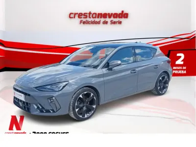 Occasion Cupra Leon 150 PK (110 kW) 2024 Grijs