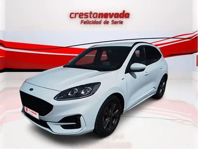 Usado Ford Kuga ST-Line 120 CV (88 kW) 2022 SUV