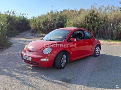 VW Beetle