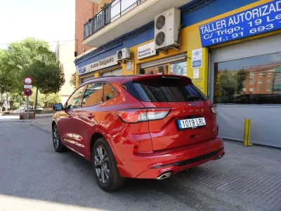 Usado Ford Kuga ST-Line X 224 CV (164 kW) 2021 SUV