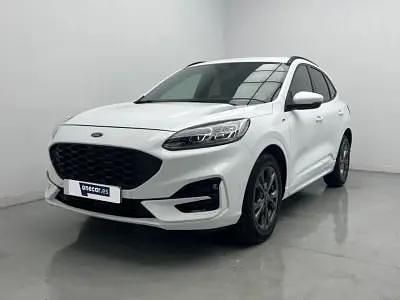Usado Ford Kuga ST-Line X 190 CV (139 kW) 2022 Blanco SUV