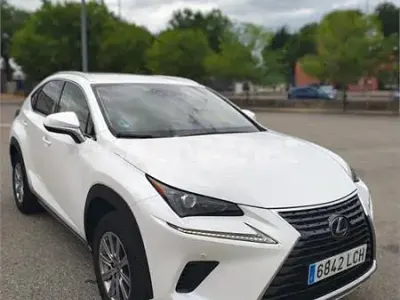 Usado Lexus NX300h Business Edition 197 CV (144 kW) 2019 Blanco SUV