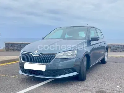 Usado Skoda Fabia Active 95 CV (69 kW) 2019 Gris / plata Utilitario
