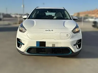 Usado Kia e-Niro