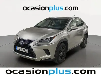 Usado Lexus NX300h Business Edition 197 CV (144 kW) 2018 Gris SUV