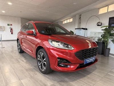 Usado Ford Kuga ST-Line X 225 CV (165 kW) 2022 Rojo SUV
