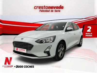 Usado Ford Focus Trend 120 CV (88 kW) 2019