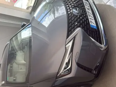 Usado Lexus UX 250h