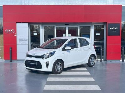 Usado Kia Picanto 67 CV (49 kW) 2024 Blanco Utilitario