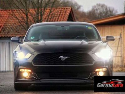 usado Ford Mustang 5.0 V8 1. Hand SCHECKHEFT *MEGA Display*