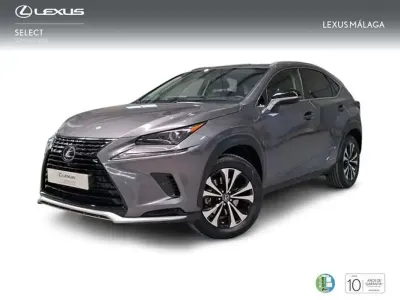 Usado Lexus NX300h 197 CV (144 kW) 2021 Gris SUV