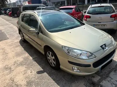 Usado Peugeot 407