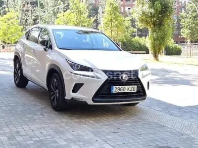 Usado Lexus NX300h Sport Line 197 CV (144 kW) 2019 Blanco SUV