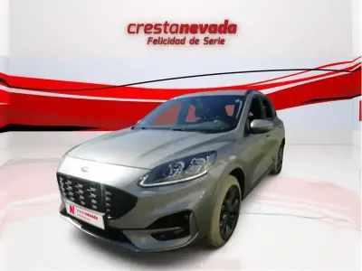Używany Ford Kuga ST-Line 225 KM (165 kW) 2022 Szary SUV