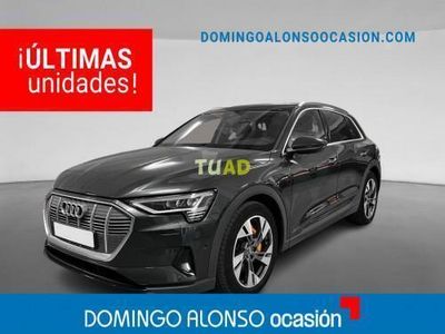 usado Audi e-tron E-TRON50 Edition 230kW (313CV) quattro