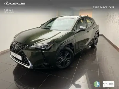 Usado Lexus UX Business Edition 184 CV (135 kW) 2022 Verde SUV