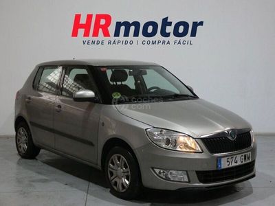 usado Skoda Fabia Young