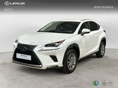 Usado Lexus NX300h Business Edition 197 CV (144 kW) 2019 Blanco SUV