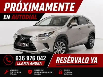 Usado Lexus NX300h Executive Line 197 CV (144 kW) 2019 Beige SUV