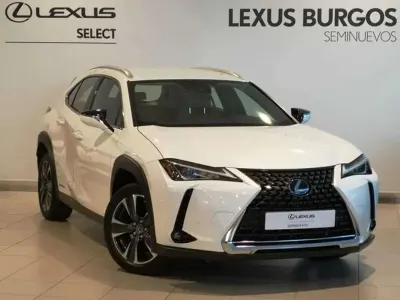 Usado Lexus UX 250h 184 CV (135 kW) 2022 Blanco SUV
