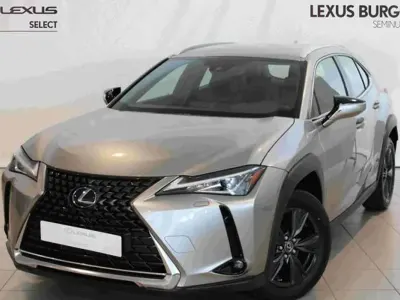 Usado Lexus UX 250h Business Edition 184 CV (135 kW) 2022 Gris SUV