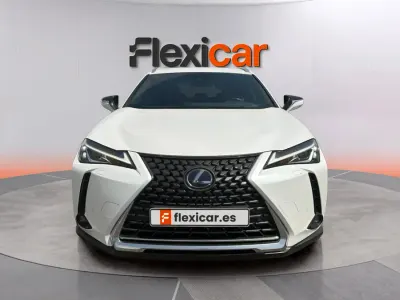 Usado Lexus UX Business Edition 184 CV (135 kW) 2019 Blanco SUV