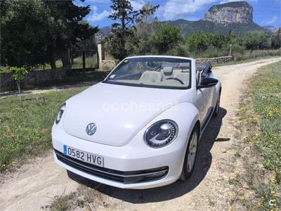 VW Beetle