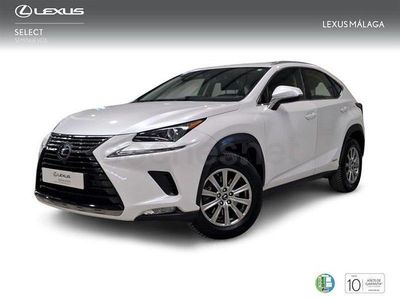 Usado Lexus NX300h Business Edition 197 CV (144 kW) 2019 Blanco SUV