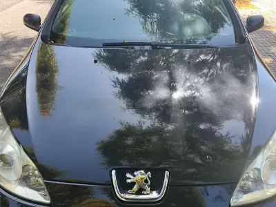 Usado Peugeot 407