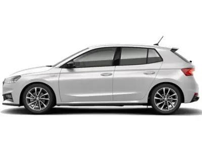 Usado Skoda Fabia