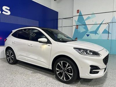Usado Ford Kuga ST-Line X 225 CV (165 kW) 2023 Blanco SUV