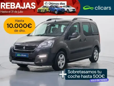 Usado Peugeot TePee
