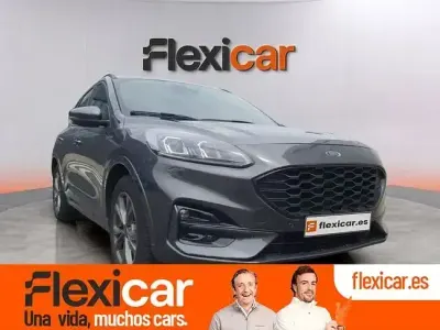 Usado Ford Kuga ST-Line 150 CV (110 kW) 2022 Gris SUV