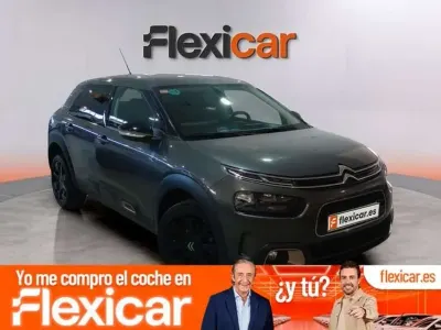 Usado Citroën C4 Cactus Business Class 102 CV (75 kW) 2019 Gris Utilitario