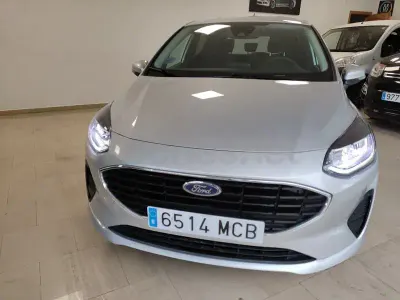 Usado Ford Fiesta Trend 75 HP (55 kW) 2022 Cinzento Citadino