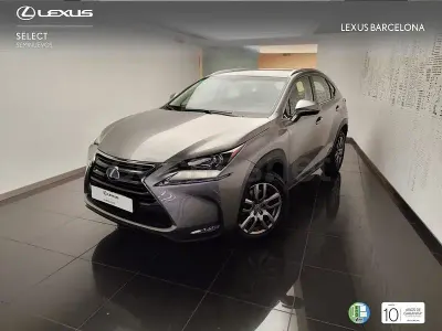 Usado Lexus NX300h Executive Line 197 CV (144 kW) 2015 Gris / plata SUV