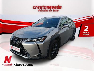 Usado Lexus UX Business Edition 184 CV (135 kW) 2022 SUV