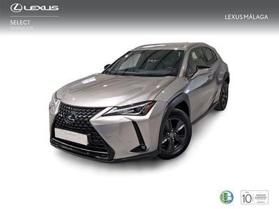 Usado Lexus UX Business Edition 184 CV (135 kW) 2022 Gris SUV