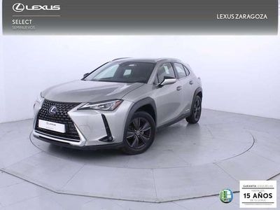 Usado Lexus UX 250h Business Edition 184 CV (135 kW) 2022 Gris SUV