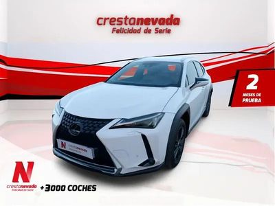 Usado Lexus UX Business Edition 152 CV (111 kW) 2022 SUV