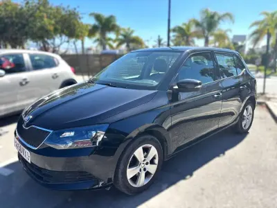 Usado Skoda Fabia