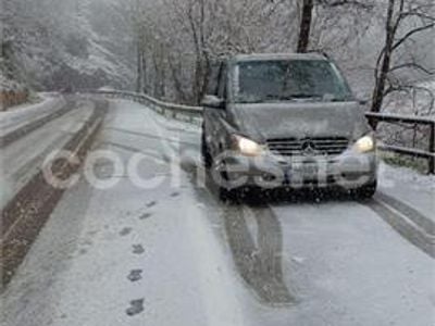 Mercedes Viano