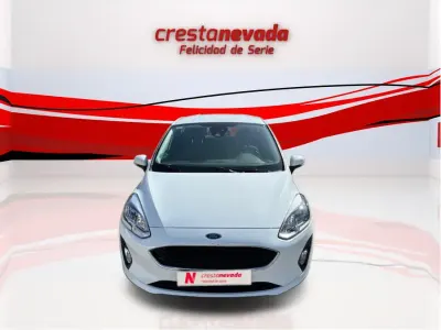 Usado Ford Fiesta Trend 85 CV (62 kW) 2020 Utilitario