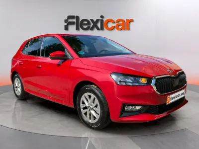 Usado Skoda Fabia