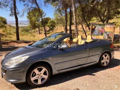 Usado Peugeot 307 CC