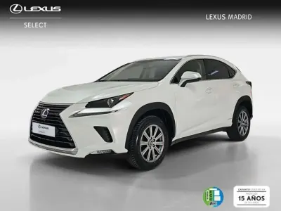 Usado Lexus NX300h Business Edition 197 CV (144 kW) 2019 Blanco SUV