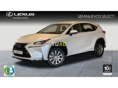 usado Lexus NX300h business navigation 2wd 145 kw (197 cv)